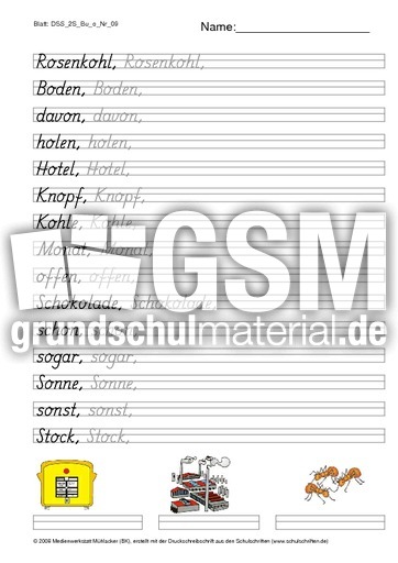 DSS_2S_Bu_o_Nr_09.pdf